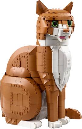 LEGO 21376 橘猫