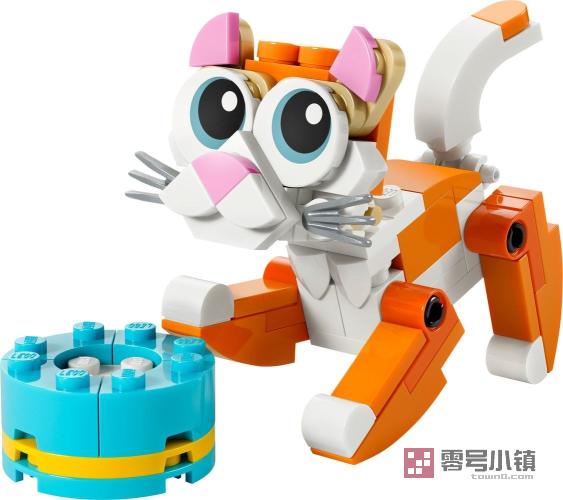 30714： 橘猫