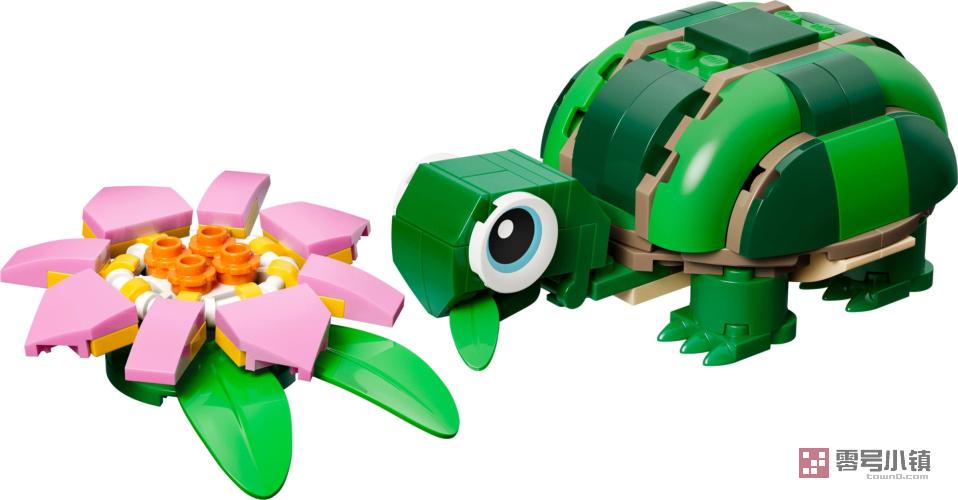 31377： 可爱的海龟