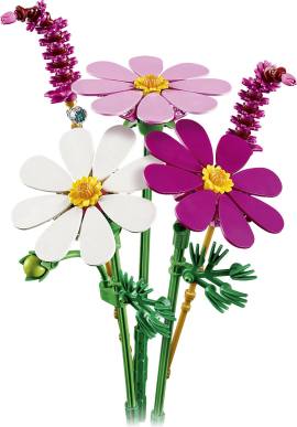 LEGO 11514 大波斯菊花束