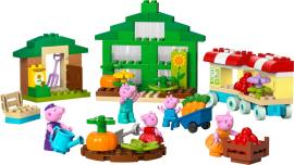LEGO 10461 猪爷爷的花园与温室