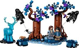 LEGO 76475 禁林：守护神咒