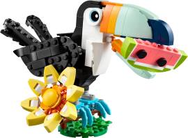 LEGO 31173 野生动物：热带巨嘴鸟