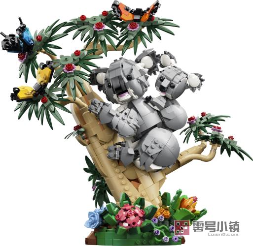 31388： 野生动物：考拉家族
